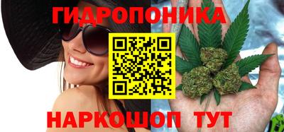 метадон Будённовск
