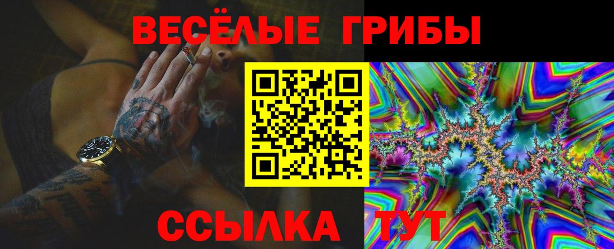 Псилоцибиновые грибы Magic Shrooms  Галлюциногенные грибы Cubensis  Вход с VPN  Лениногорск 